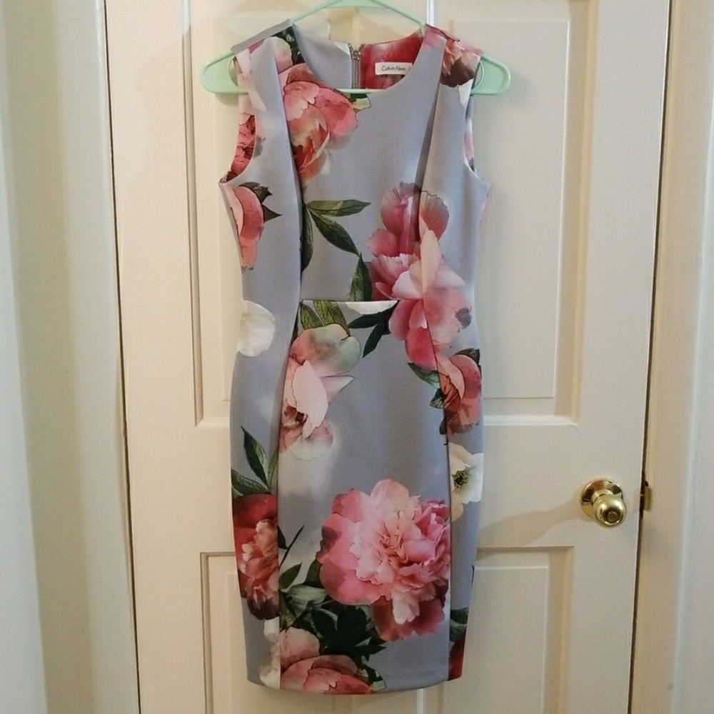 Calvien Klien dress